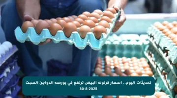 تحديثات اليوم.. أسعار كرتونة البيض ترتفع في بورصة الدواجن السبت 30-8-2025